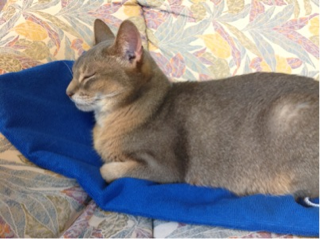 image-20120713193207.png